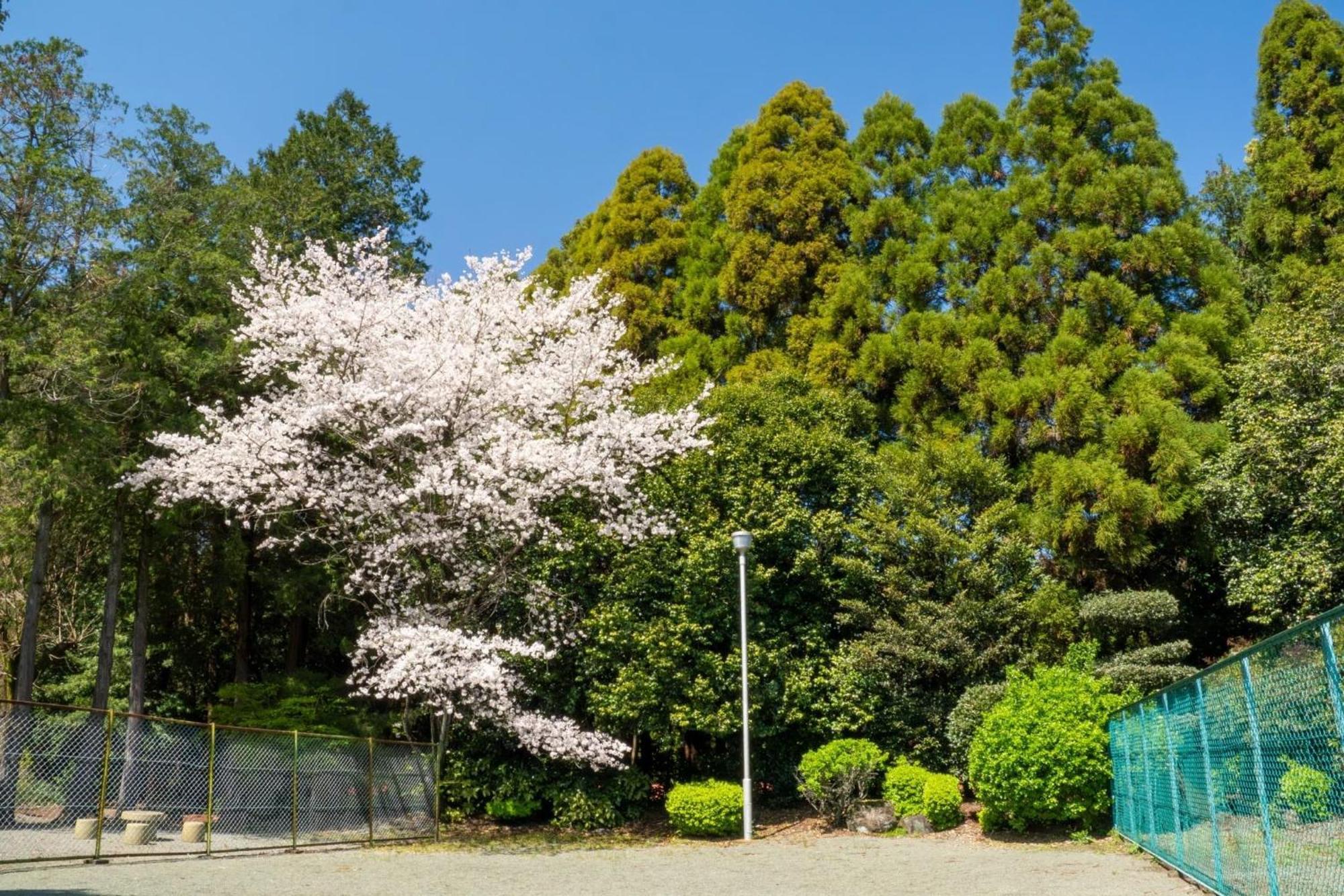 ホテル Higashi Kumamoto Business Center Ōzu エクステリア 写真